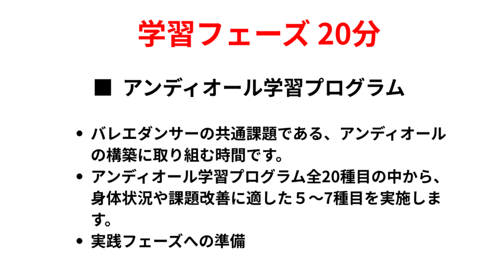 アンディオール学習プログラム
バレエダンサーの共通課題である、アンディールの構築に取り組む時間です。アンディオール学習プログラムの中から、身体状況や課題改善に適した５～７種目を実施します。実践フェーズへの準備時間にもなります。