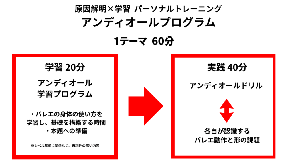 原因と目標に基づき、プログラムを開始します。
外側支持機構の強化
股関節外旋コントロール
足部からの連動
体幹との連携
ストレッチ・徒手誘導・抵抗トレーニングなどを組み合わせ、
外側で支え、内側が結果的に使われる状態をつくります。
④ その場で「バレエ動作と形」を再現（映像チェック）

修正後、すぐに再度動作を確認します。
「無理なく開く」
「ぐらつかない」
「軸が安定する」
といった変化を感じながら、
アンディオールの動作と形をその場で修正していきます。
※③修正 → ④再現 を、45分・60分の中で繰り返し行います